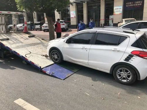 漯河市啟動機動車違停拖移執(zhí)法，數(shù)字化后臺管理系統(tǒng)提升執(zhí)法效能