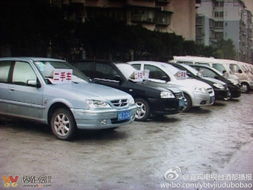 綠化道變經營地，宜賓翠柏大道的“后臺”之謎